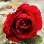 Khushboo Joshi - @khushboo.joshi.14811 - Instagram