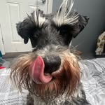 @sas_kiagraham - Instagram