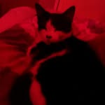 kia holmes - @kiaholmespop12 - Instagram