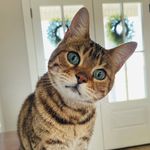 Kia - @little_kia_smith - Instagram