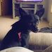 Princess Kia Nickens - Facebook