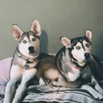 Kiara and Leah - @kiarandleah - Instagram