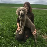 @kia.from.shields.garden - Instagram