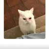 kiarashields431 - @kiarashields431 - TikTok