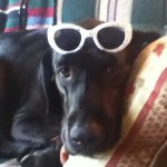 Kia_tyson - @emmapuppylover11 - Instagram