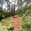 kiantyson - @kianty7 - TikTok
