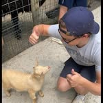 Kian Dunn - @kian.dunn.7 - Instagram