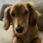 Kian Hill - @kianh.ill - Instagram