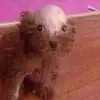Kian Hill - @k.hill0062 - TikTok