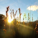 kian-lee - @leekie_photography - Instagram