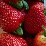 kianaferrell - @sustainable__eating - Instagram