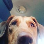 kiana king - @its_kiana_13_years_old - Instagram