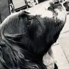 Kiana Watson - @kianawatson30 - TikTok