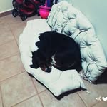 Kiara.Olmos - @kiara.alberti - Instagram