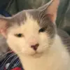 kiarabarker2 - @kiarabarker2 - TikTok