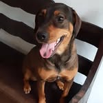 Kiara Becker - @kiara_becker_auau - Instagram