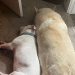 Kiara and Benjamin - @kiara.and.benjamin - Instagram