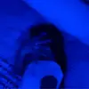 kiaraboyd447 - @kiaraboyd447 - TikTok