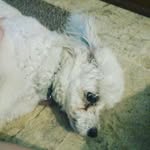 Kira Copeland - @baby_dog1215 - Instagram