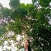 Kiara Gomez - Facebook