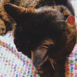KIARA - @kiara_greeneyed - Instagram
