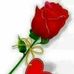 Kiara Manuel Gomes - Facebook