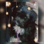 kiara - @5.kiara.rafael.newton.pri - Instagram