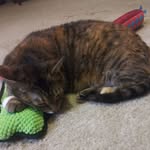 Kiara Pierce - @kiaraanita.nerezzapierce - Instagram