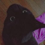 Kiara Powell - @powellkiara039 - Instagram