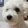 KIARA - @kiara.rocha_ - TikTok
