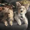 kiara - @kiararocha336 - TikTok