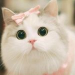 kiara Saunders - @kiara.saunders0127 - Instagram