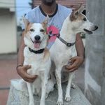 Kiara & Smally - @kiarasmally - Instagram