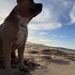 Kyra Castor-Wallace Kekahuna - Facebook