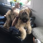 Marco Wolf - @marco.wolf.kiel - Instagram