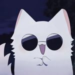 𝙒𝙤𝙡𝙛 𝙆𝙞𝙙𝙤 - @wolfie_kiel - Instagram