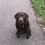 Wolfgang Kiel - @kiel_wolfgang - Instagram