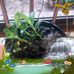 Kiem Bui - Facebook