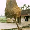 kiembui - @user4218612947505 - TikTok