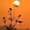Kien Cuong - @kien.cuong93 - TikTok