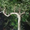 kiencuong - @kiencuong624 - TikTok
