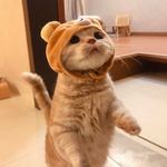 Kiên Đặng - @dtrkien_ - Instagram