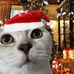 Kiên Đào - Facebook