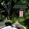 trung kiên 36 shop - @kienluc4 - TikTok
