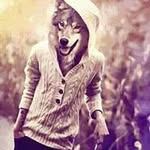 Kien Luong - @kien1521 - Instagram