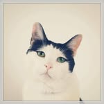 Kien Tien Le - @kientienle - Instagram