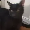 kierabaker71 - @kierabaker71 - TikTok