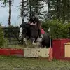 kiera_bishop12 - @kiera_bishop12 - TikTok