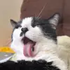 kiera - @kiera_dawson - TikTok