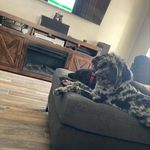 Kieran Fullerton - @kieran_fullerton_ - Instagram
